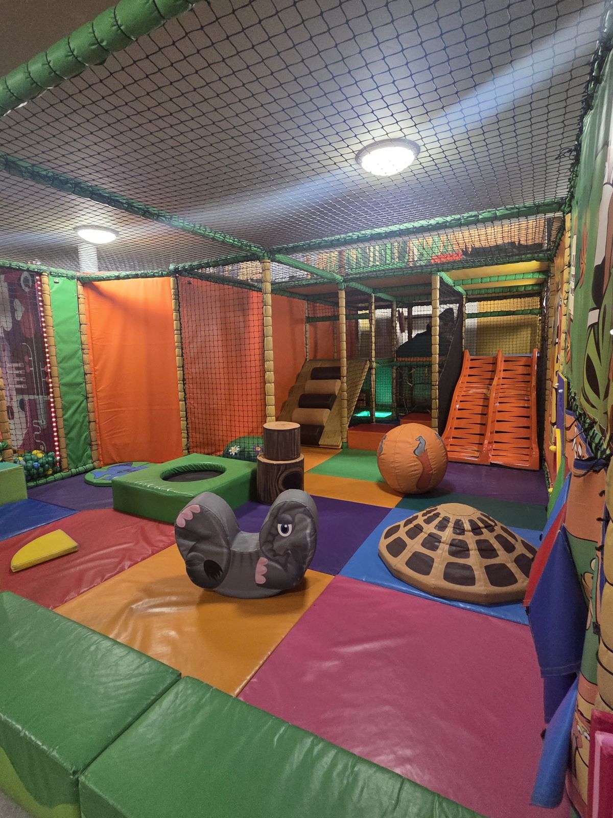 Toddler Sessions